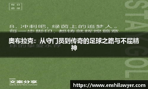 冰球突破豪华版手机版