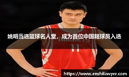冰球突破豪华版手机版