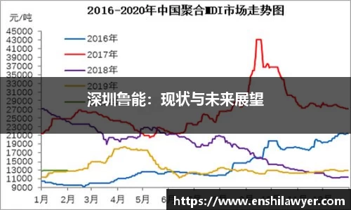 深圳鲁能：现状与未来展望